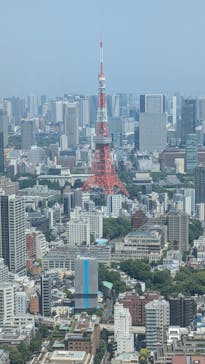 手塚治虫「火の鳥」展－火の鳥は、エントロピー増大と抗う動的平衡＝宇宙生命の象徴－に投稿された画像（2025/5/20）