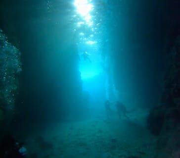 武藤潜水に投稿された画像（2025/5/20）