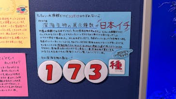 竹島水族館に投稿された画像（2025/5/20）