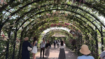 横浜イングリッシュガーデンに投稿された画像（2025/5/20）