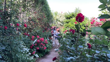 横浜イングリッシュガーデンに投稿された画像（2025/5/20）