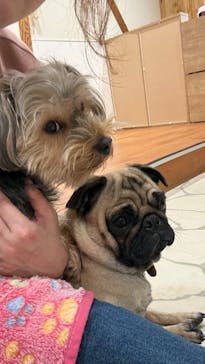 いぬカフェRio 下北沢店に投稿された画像（2025/5/20）