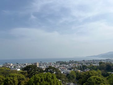 小田原城に投稿された画像（2025/5/20）