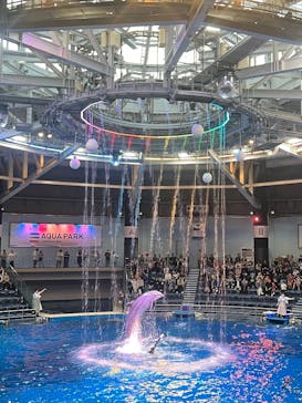 マクセル アクアパーク品川に投稿された画像（2025/5/20）