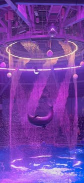 マクセル アクアパーク品川に投稿された画像（2025/5/20）