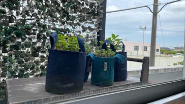 おふろcafé ハレニワの湯に投稿された画像（2025/5/20）