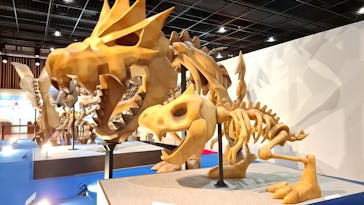 福井県立恐竜博物館に投稿された画像（2025/5/20）