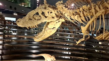 福井県立恐竜博物館に投稿された画像（2025/5/20）