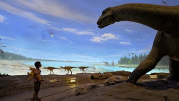 福井県立恐竜博物館に投稿された画像（2025/5/20）