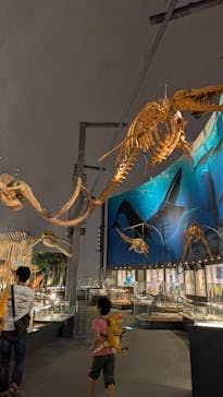 福井県立恐竜博物館に投稿された画像（2025/5/20）