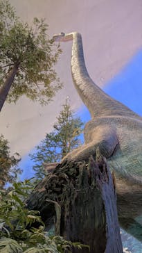 福井県立恐竜博物館に投稿された画像（2025/5/20）