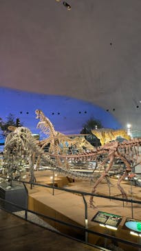 福井県立恐竜博物館に投稿された画像（2025/5/20）
