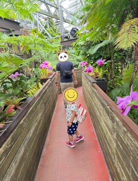 ナゴパイナップルパークに投稿された画像（2025/5/20）