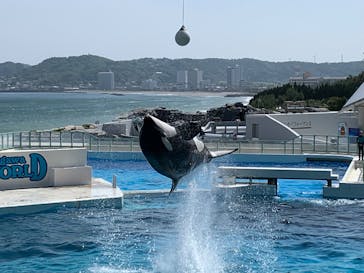 鴨川シーワールドに投稿された画像（2025/5/20）