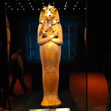 ACN ラムセス大王展 ファラオたちの黄金に投稿された画像（2025/5/20）
