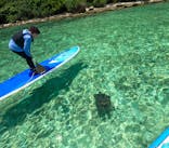 Acoustic Life（アコースティックライフ）に投稿された画像（2025/5/20）