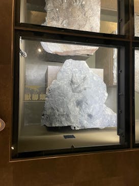 福井県立恐竜博物館に投稿された画像（2025/5/20）