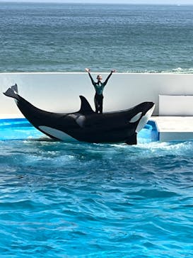 鴨川シーワールドに投稿された画像（2025/5/20）