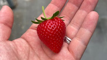ニューベリーに投稿された画像（2025/5/20）