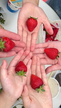 ニューベリーに投稿された画像（2025/5/20）