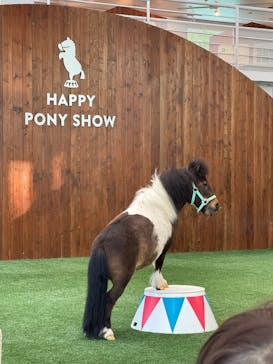 ノーザンホースパークに投稿された画像（2025/5/20）