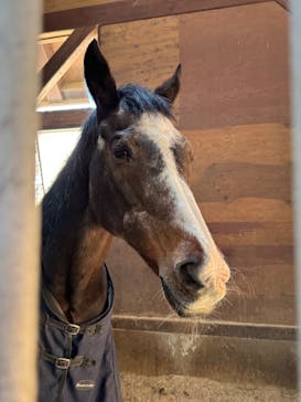 ノーザンホースパークに投稿された画像（2025/5/20）