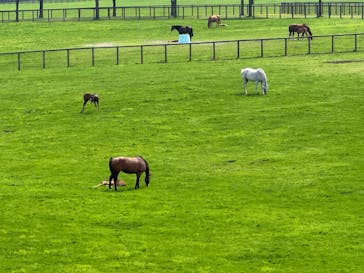ノーザンホースパークに投稿された画像（2025/5/20）