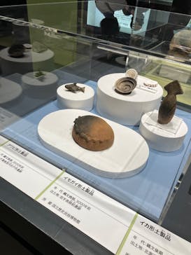特別展「古代DNA－日本人のきた道」（国立科学博物館）に投稿された画像（2025/5/21）