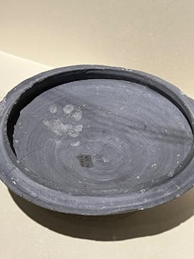 特別展「古代DNA－日本人のきた道」（国立科学博物館）に投稿された画像（2025/5/21）