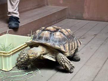 カワスイ 川崎⽔族館に投稿された画像（2025/5/21）