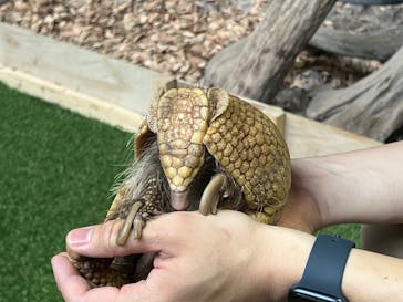 カワスイ 川崎⽔族館に投稿された画像（2025/5/21）