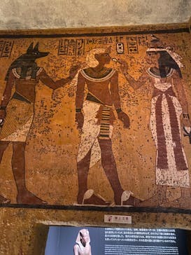MYSTERY OF TUTANKHAMEN 体感型古代エジプト展に投稿された画像（2025/5/21）