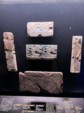 ACN ラムセス大王展 ファラオたちの黄金に投稿された画像（2025/5/21）