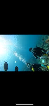 武藤潜水に投稿された画像（2025/5/21）