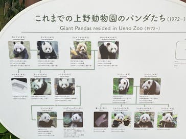 恩賜上野動物園に投稿された画像（2025/5/21）