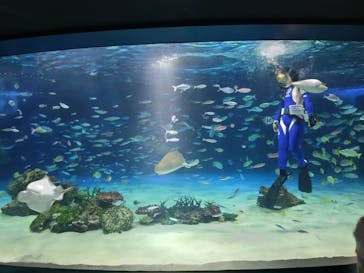 サンシャイン水族館に投稿された画像（2025/5/21）