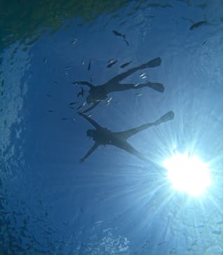 沖縄マリンサービス碧に投稿された画像（2025/5/21）