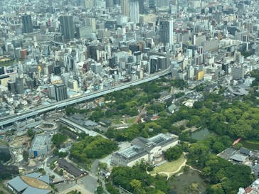 ハルカス300(展望台)に投稿された画像（2025/5/21）