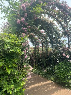 横浜イングリッシュガーデンに投稿された画像（2025/5/21）