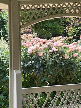 横浜イングリッシュガーデンに投稿された画像（2025/5/21）