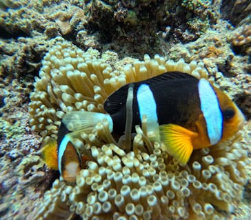 武藤潜水に投稿された画像（2025/5/21）