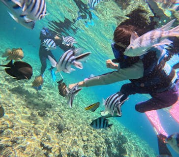 沖縄マリンサービス碧に投稿された画像（2025/5/21）