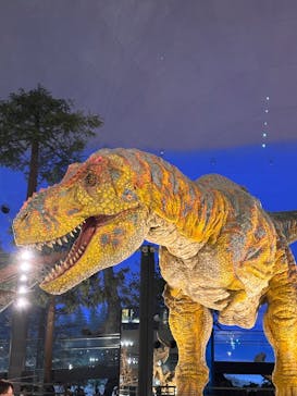 福井県立恐竜博物館に投稿された画像（2025/5/21）