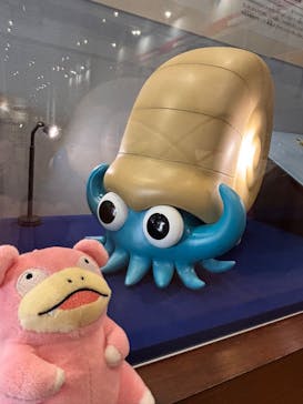 福井県立恐竜博物館に投稿された画像（2025/5/21）