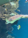 葛西臨海水族園に投稿された画像（2025/5/21）