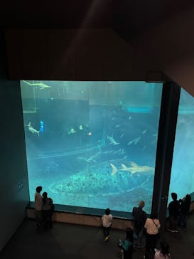 葛西臨海水族園に投稿された画像（2025/5/21）