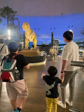 福井県立恐竜博物館に投稿された画像（2025/5/21）