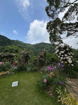 ACAO FORESTに投稿された画像（2025/5/21）