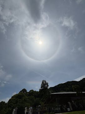 ACAO FORESTに投稿された画像（2025/5/21）