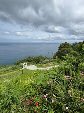 ACAO FORESTに投稿された画像（2025/5/21）